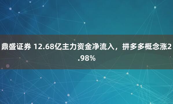 鼎盛证券 12.68亿主力资金净流入，拼多多概念涨2.98%
