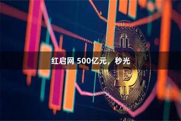 红启网 500亿元，秒光