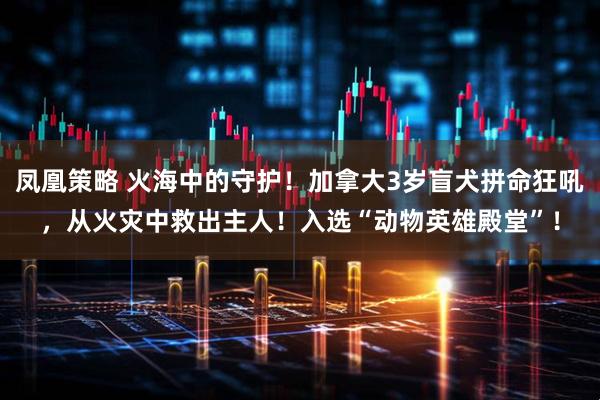 凤凰策略 火海中的守护！加拿大3岁盲犬拼命狂吼，从火灾中救出主人！入选“动物英雄殿堂”！