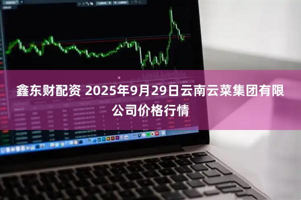 鑫东财配资 2025年9月29日云南云菜集团有限公司价格行情