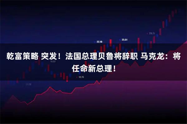 乾富策略 突发！法国总理贝鲁将辞职 马克龙：将任命新总理！