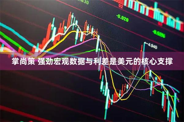 掌尚策 强劲宏观数据与利差是美元的核心支撑