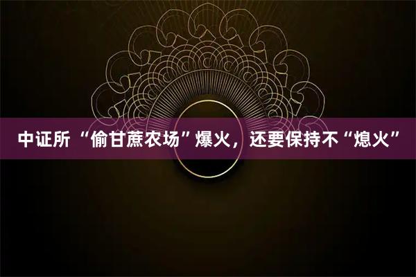 中证所 “偷甘蔗农场”爆火，还要保持不“熄火”