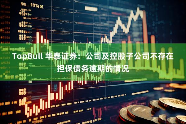 TopBull 华泰证券：公司及控股子公司不存在担保债务逾期的情况