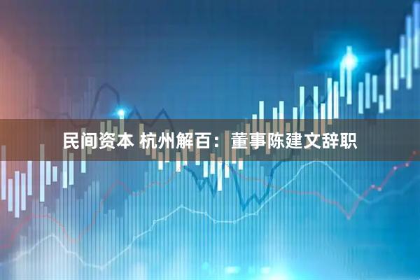 民间资本 杭州解百：董事陈建文辞职
